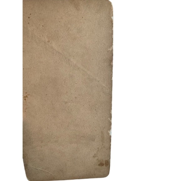 Antique Stereoscope Photo Card American Views 2542 The Rockery Forest Hills - Picture 4 of 4